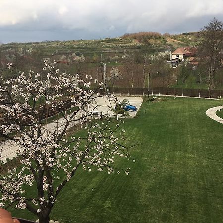 Pensiunea Amurg Mesesenii de Sus Екстериор снимка