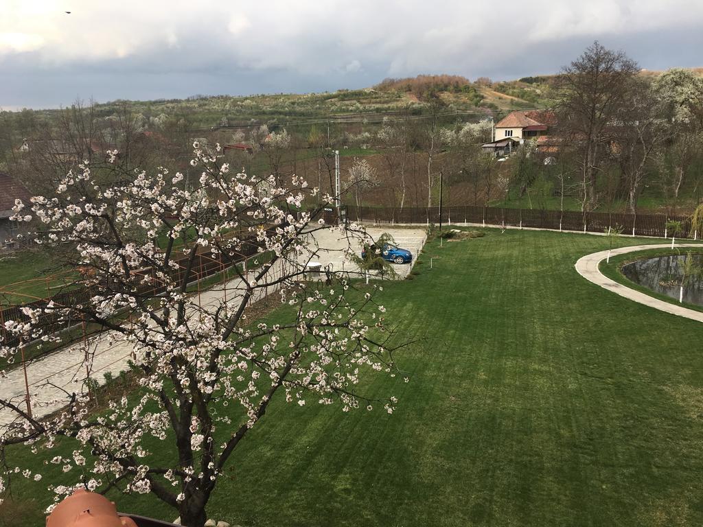 Pensiunea Amurg Mesesenii de Sus Екстериор снимка
