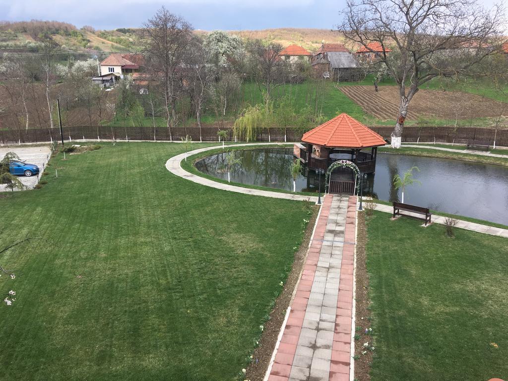 Pensiunea Amurg Mesesenii de Sus Екстериор снимка
